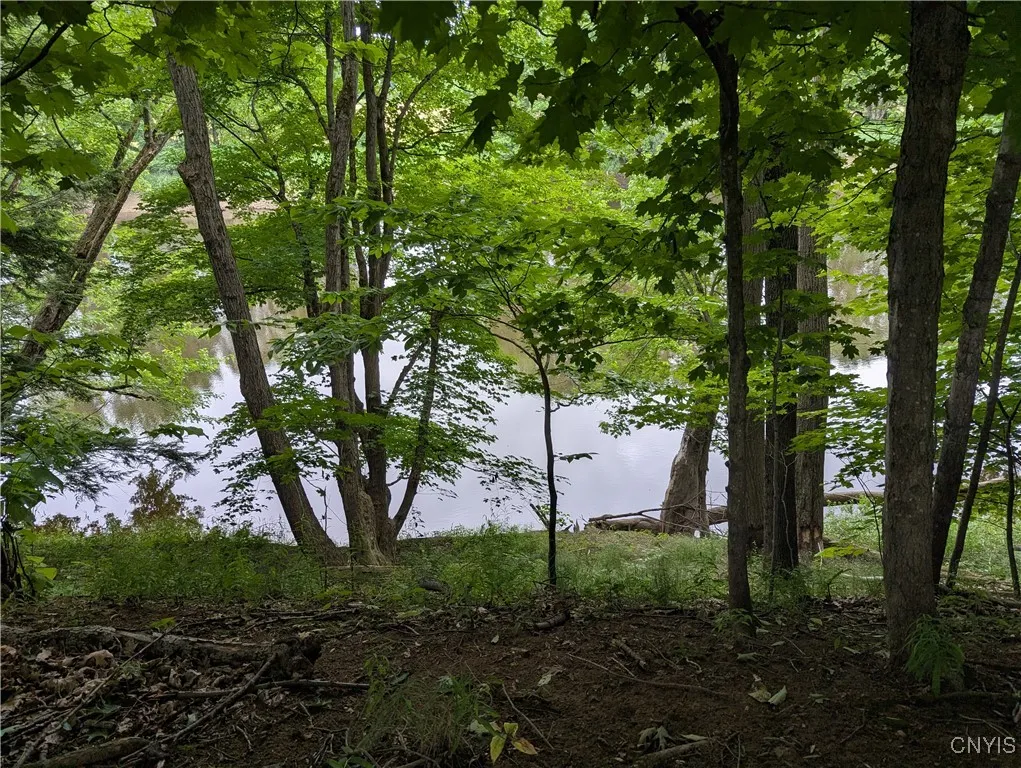 6661 Pine Grove Road, Watson, New York 13343, Watson, New York 13343, 3 Bedrooms Bedrooms, 4 Rooms Rooms,2 BathroomsBathrooms,Residential,For Sale,6661 Pine Grove Road, Watson, New York 13343,S1583170