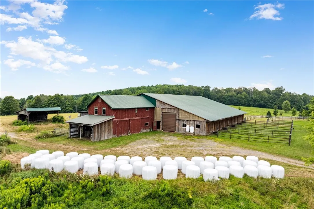 1220 Cty Rd 24 Road, Columbus, New York 13460, Columbus, New York 13460, 3 Bedrooms Bedrooms, ,4 BathroomsBathrooms,Land,For Sale,1220 Cty Rd 24 Road, Columbus, New York 13460,0,R1583585