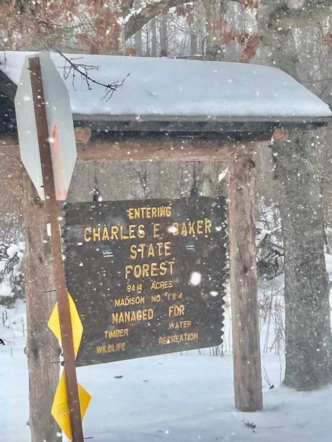 1220 Cty Rd 24 Road, Columbus, New York 13460, Columbus, New York 13460, 3 Bedrooms Bedrooms, ,4 BathroomsBathrooms,Land,For Sale,1220 Cty Rd 24 Road, Columbus, New York 13460,0,R1583585