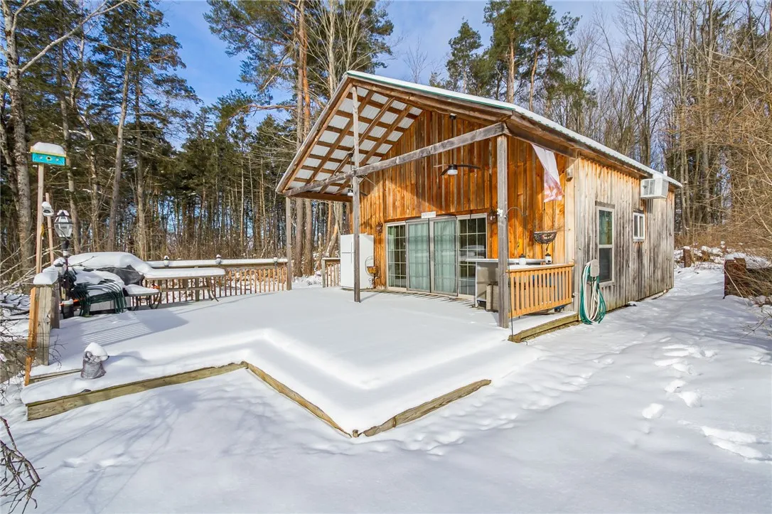 9545 Redman Road, Allen, New York 14735, Allen, New York 14735, 2 Bedrooms Bedrooms, 4 Rooms Rooms,Land,For Sale,9545 Redman Road, Allen, New York 14735,R1584129