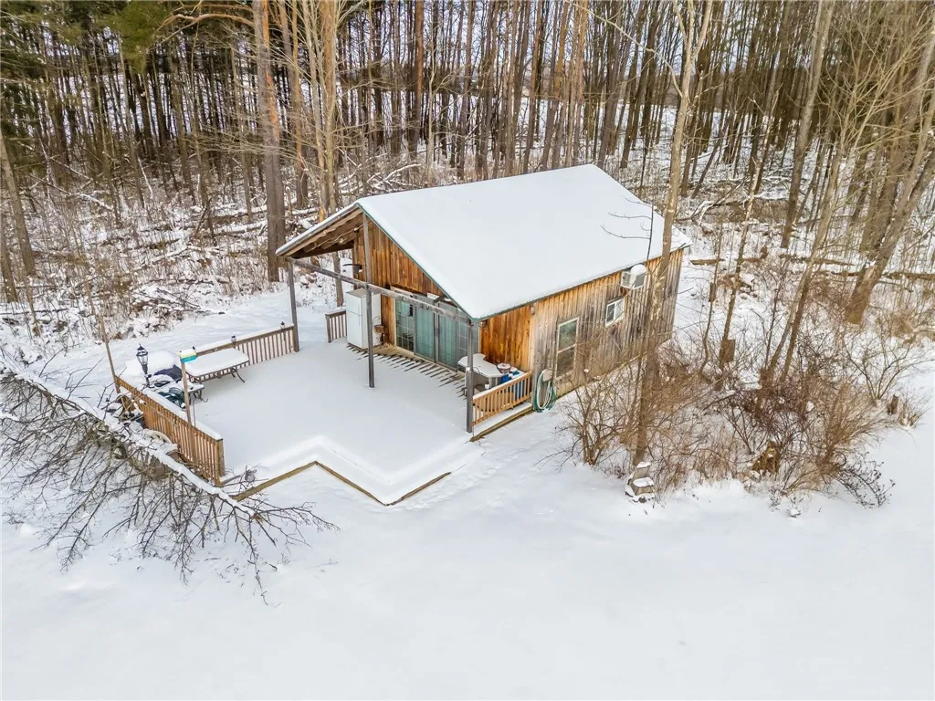 9545 Redman Road, Allen, New York 14735, Allen, New York 14735, 2 Bedrooms Bedrooms, 4 Rooms Rooms,Land,For Sale,9545 Redman Road, Allen, New York 14735,R1584129