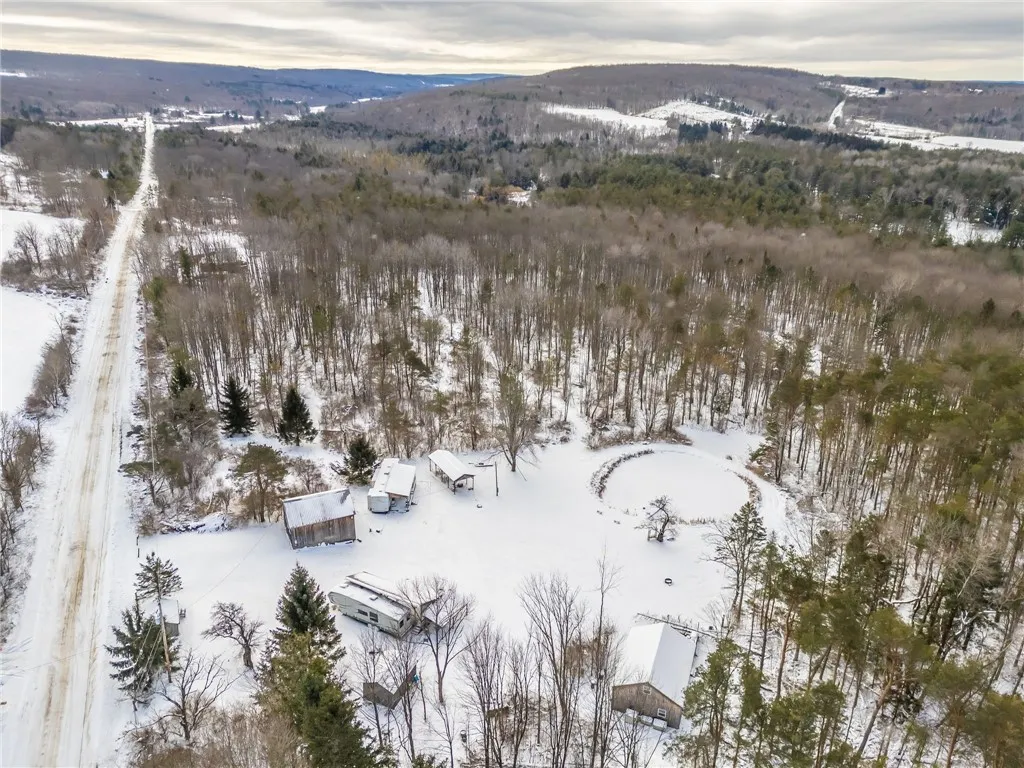 9545 Redman Road, Allen, New York 14735, Allen, New York 14735, 2 Bedrooms Bedrooms, 4 Rooms Rooms,Land,For Sale,9545 Redman Road, Allen, New York 14735,R1584129