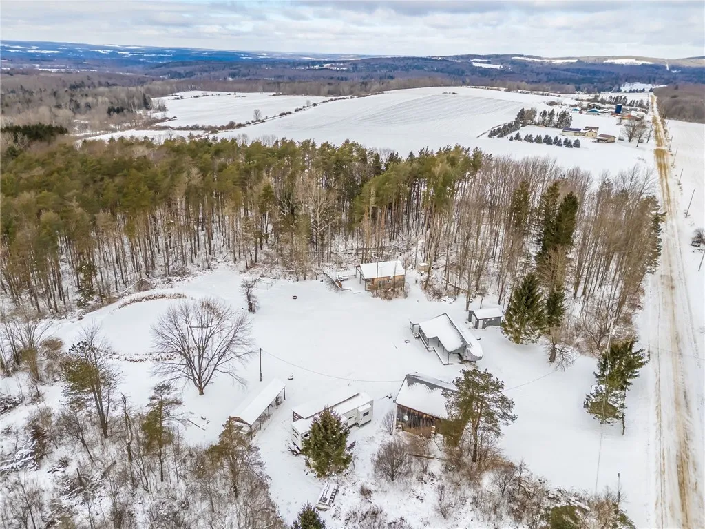 9545 Redman Road, Allen, New York 14735, Allen, New York 14735, 2 Bedrooms Bedrooms, 4 Rooms Rooms,Land,For Sale,9545 Redman Road, Allen, New York 14735,R1584129