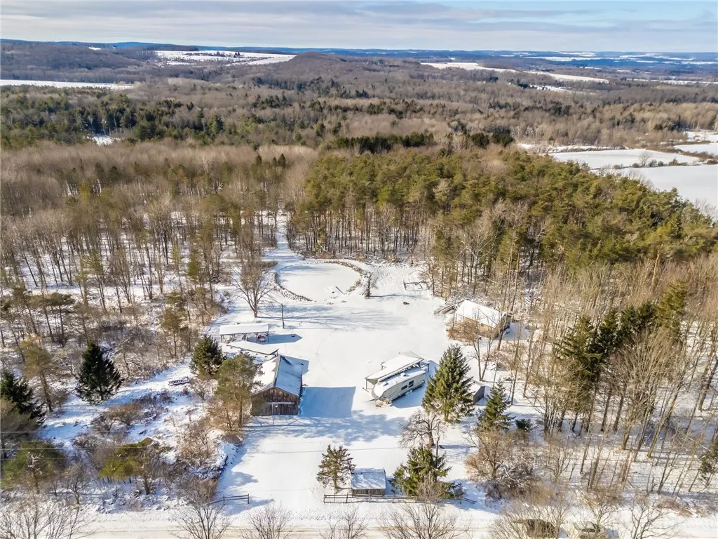 9545 Redman Road, Allen, New York 14735, Allen, New York 14735, 2 Bedrooms Bedrooms, 4 Rooms Rooms,Land,For Sale,9545 Redman Road, Allen, New York 14735,R1584129