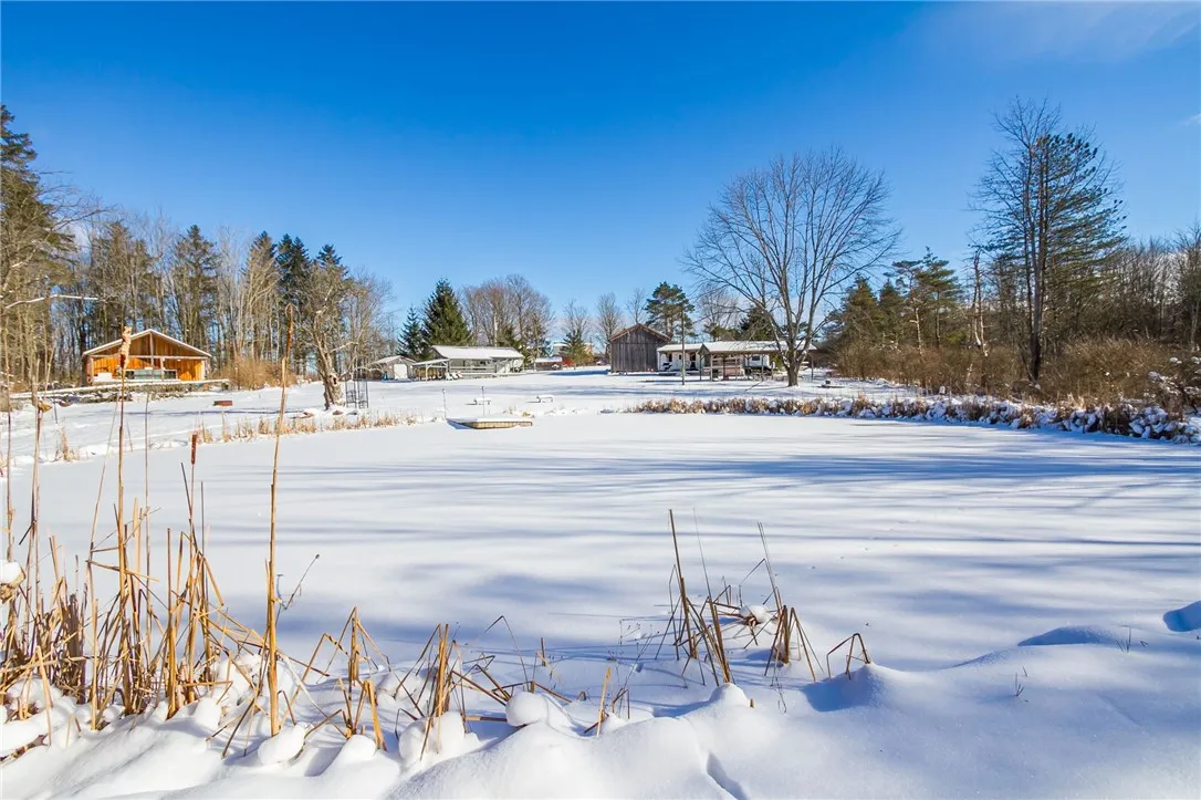9545 Redman Road, Allen, New York 14735, Allen, New York 14735, 2 Bedrooms Bedrooms, 4 Rooms Rooms,Land,For Sale,9545 Redman Road, Allen, New York 14735,R1584129
