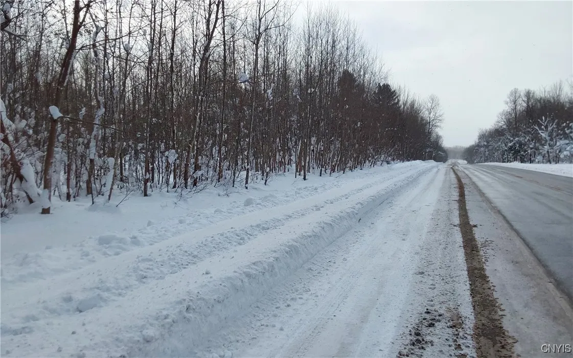 Nys Rt 365, Trenton, New York 13438, Trenton, New York 13438, ,Land,For Sale,Nys Rt 365, Trenton, New York 13438,0,S1584416