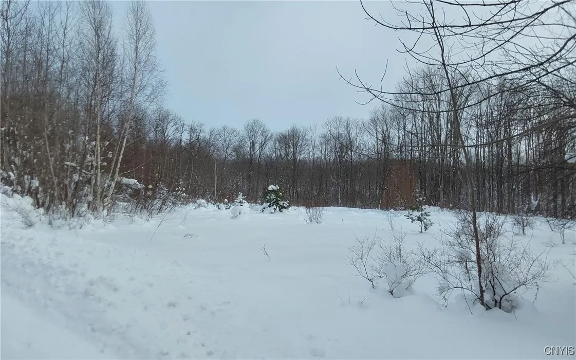 Nys Rt 365, Trenton, New York 13438, Trenton, New York 13438, ,Land,For Sale,Nys Rt 365, Trenton, New York 13438,0,S1584416