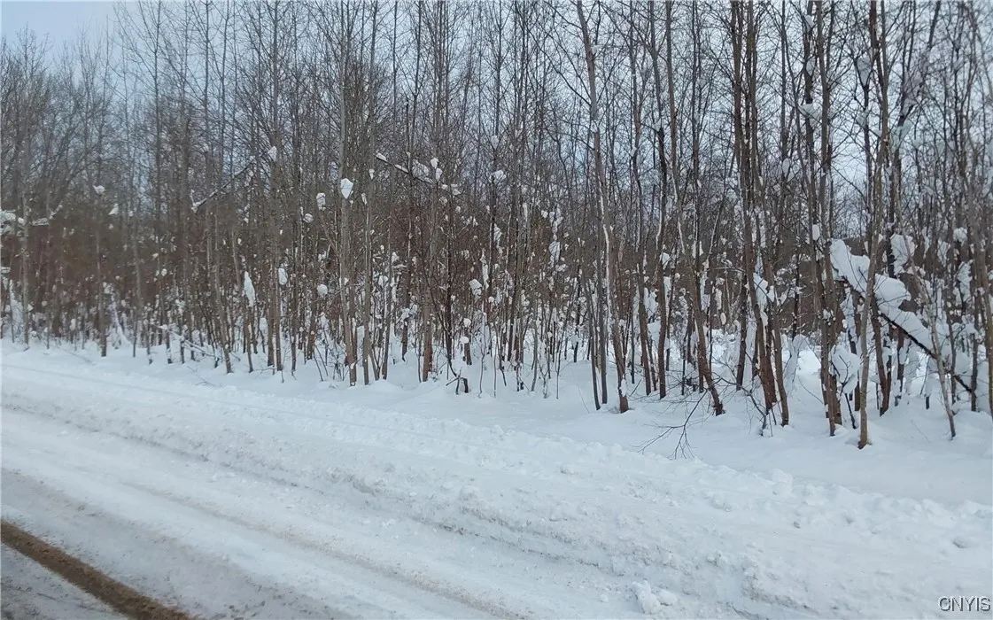Nys Rt 365, Trenton, New York 13438, Trenton, New York 13438, ,Land,For Sale,Nys Rt 365, Trenton, New York 13438,0,S1584416