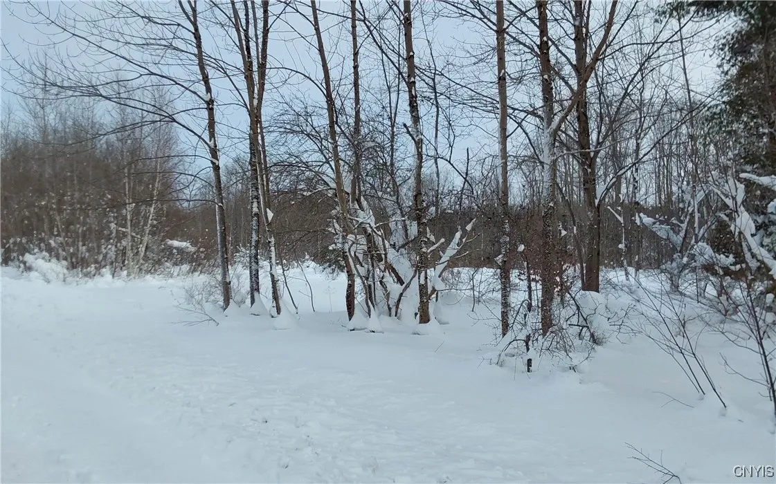 Nys Rt 365, Trenton, New York 13438, Trenton, New York 13438, ,Land,For Sale,Nys Rt 365, Trenton, New York 13438,0,S1584416