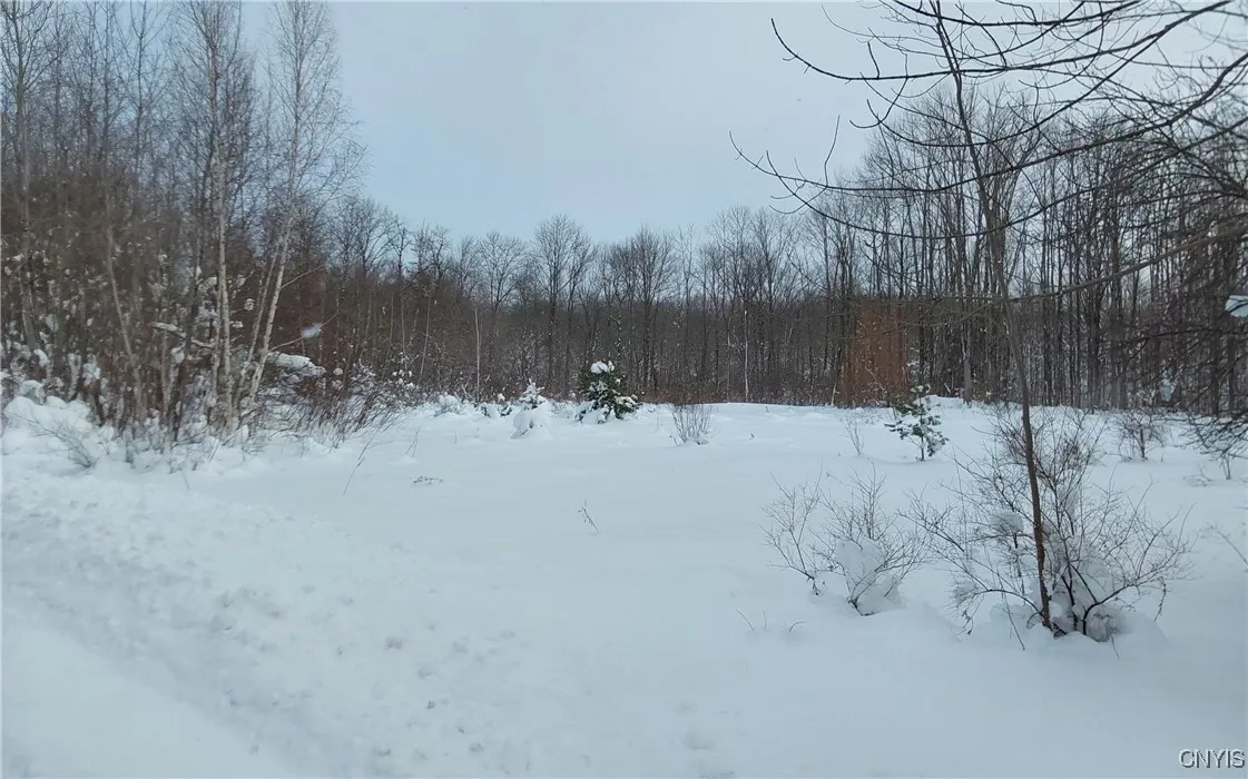 Nys Rt 365, Trenton, New York 13438, Trenton, New York 13438, ,Land,For Sale,Nys Rt 365, Trenton, New York 13438,0,S1584416