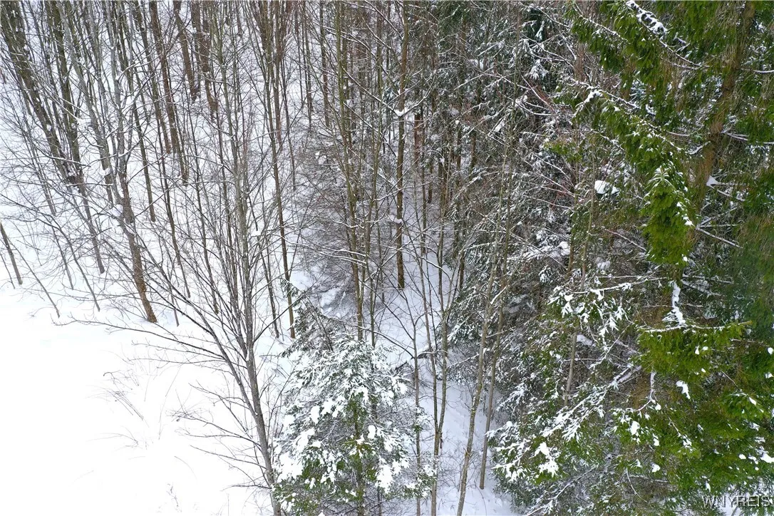 12 Trail Heights, Ellicottville, New York 14731, Ellicottville, New York 14731, ,Land,Closed,12 Trail Heights, Ellicottville, New York 14731,0,B1584863