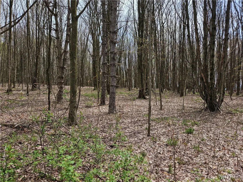 11 Trail Heights, Ellicottville, New York 14731, Ellicottville, New York 14731, ,Land,For Sale,11 Trail Heights, Ellicottville, New York 14731,0,B1584861