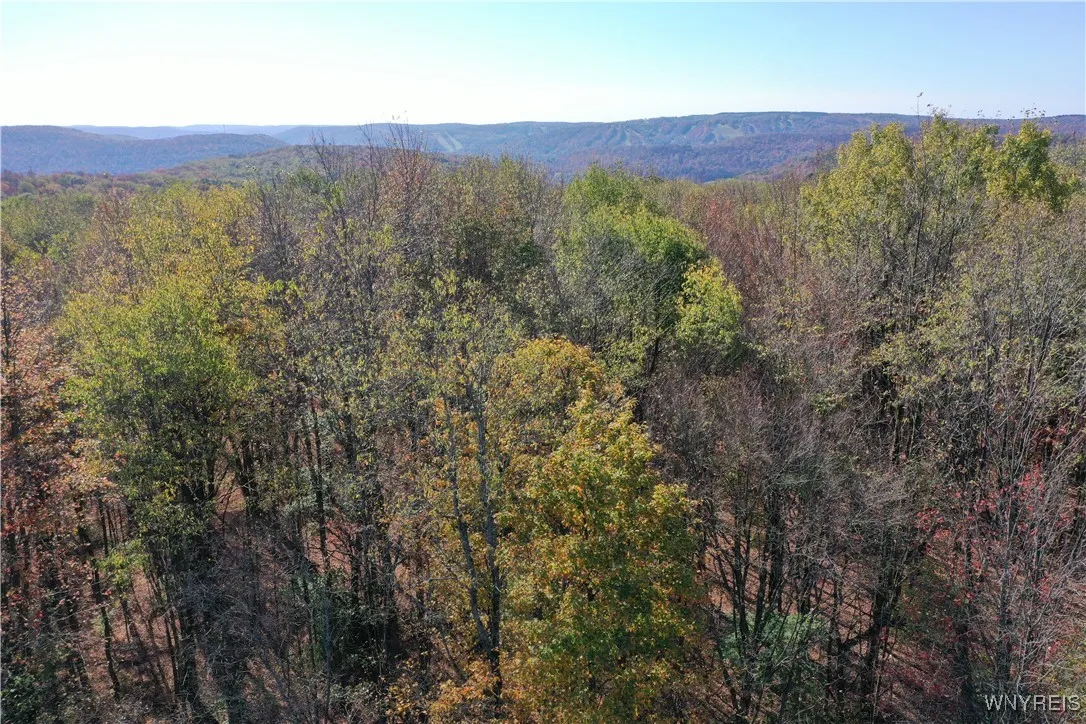 11 Trail Heights, Ellicottville, New York 14731, Ellicottville, New York 14731, ,Land,For Sale,11 Trail Heights, Ellicottville, New York 14731,0,B1584861