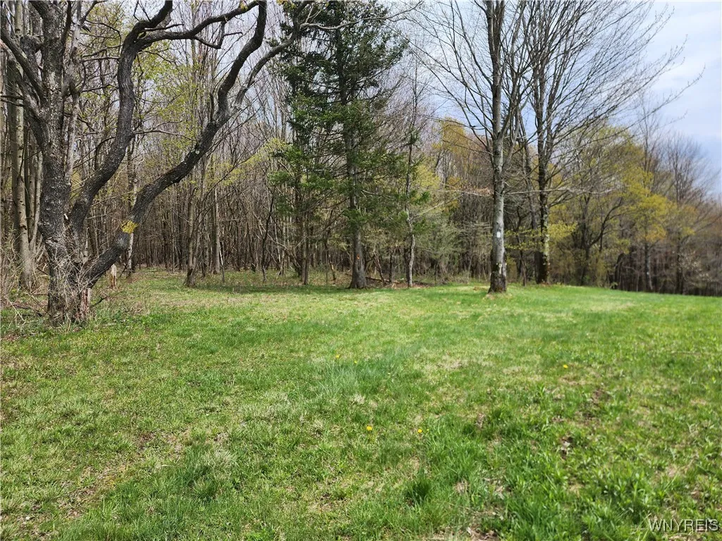 11 Trail Heights, Ellicottville, New York 14731, Ellicottville, New York 14731, ,Land,For Sale,11 Trail Heights, Ellicottville, New York 14731,0,B1584861