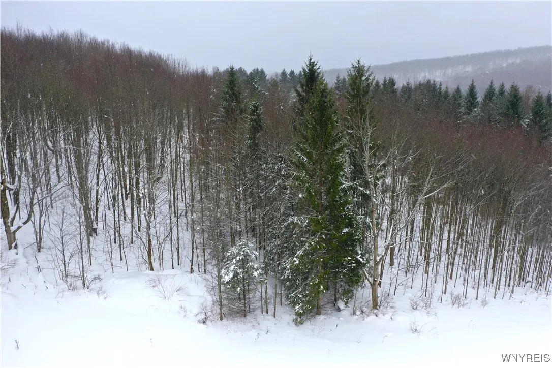 11 Trail Heights, Ellicottville, New York 14731, Ellicottville, New York 14731, ,Land,For Sale,11 Trail Heights, Ellicottville, New York 14731,0,B1584861