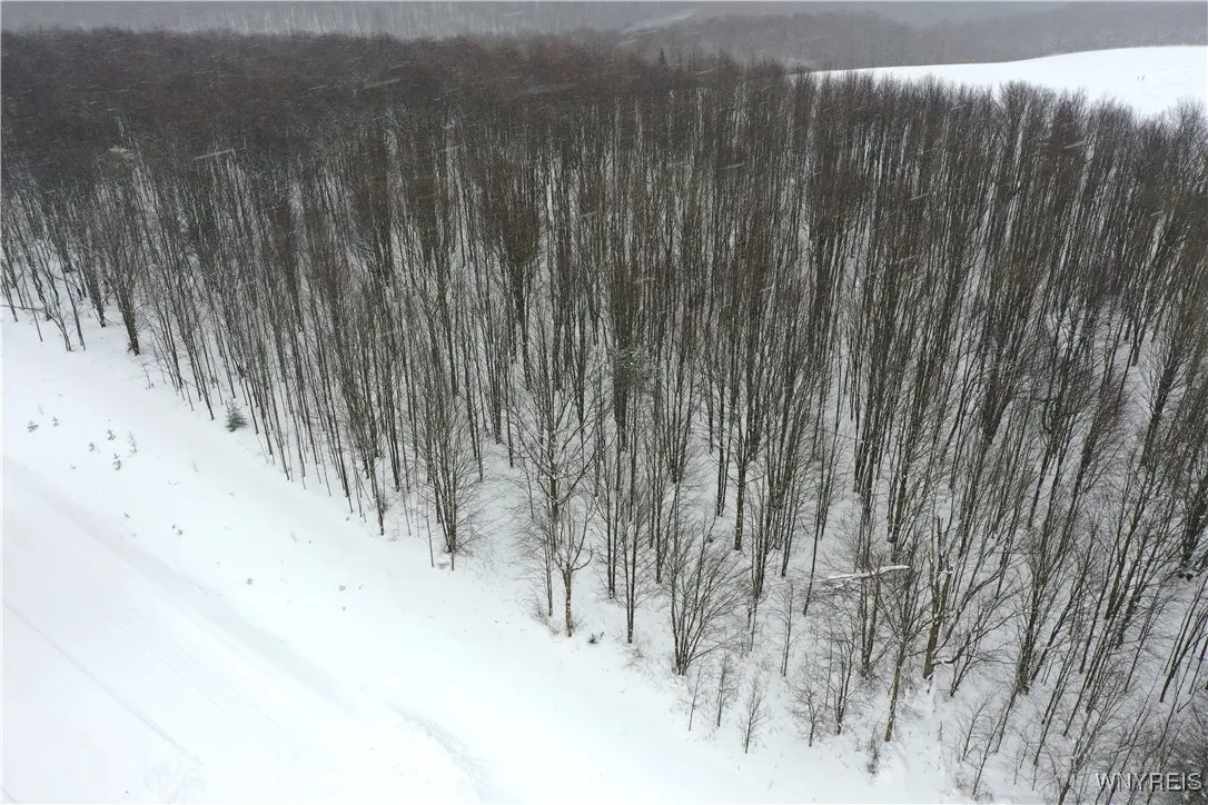 11 Trail Heights, Ellicottville, New York 14731, Ellicottville, New York 14731, ,Land,For Sale,11 Trail Heights, Ellicottville, New York 14731,0,B1584861