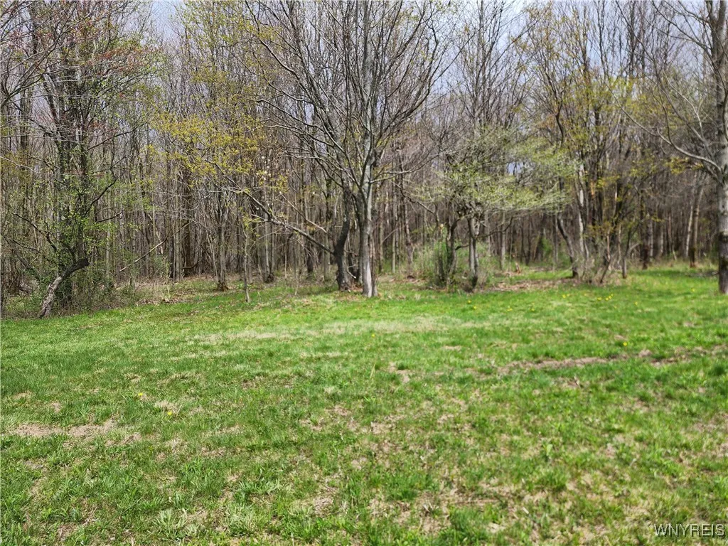 11 Trail Heights, Ellicottville, New York 14731, Ellicottville, New York 14731, ,Land,For Sale,11 Trail Heights, Ellicottville, New York 14731,0,B1584861