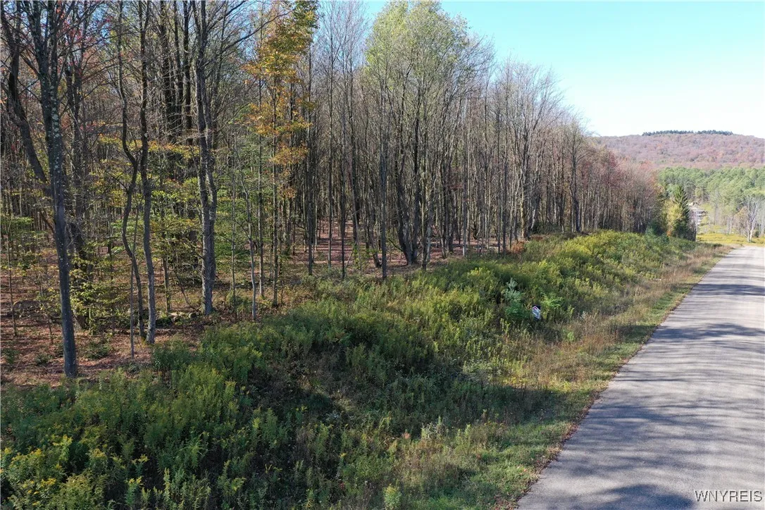 11 Trail Heights, Ellicottville, New York 14731, Ellicottville, New York 14731, ,Land,For Sale,11 Trail Heights, Ellicottville, New York 14731,0,B1584861
