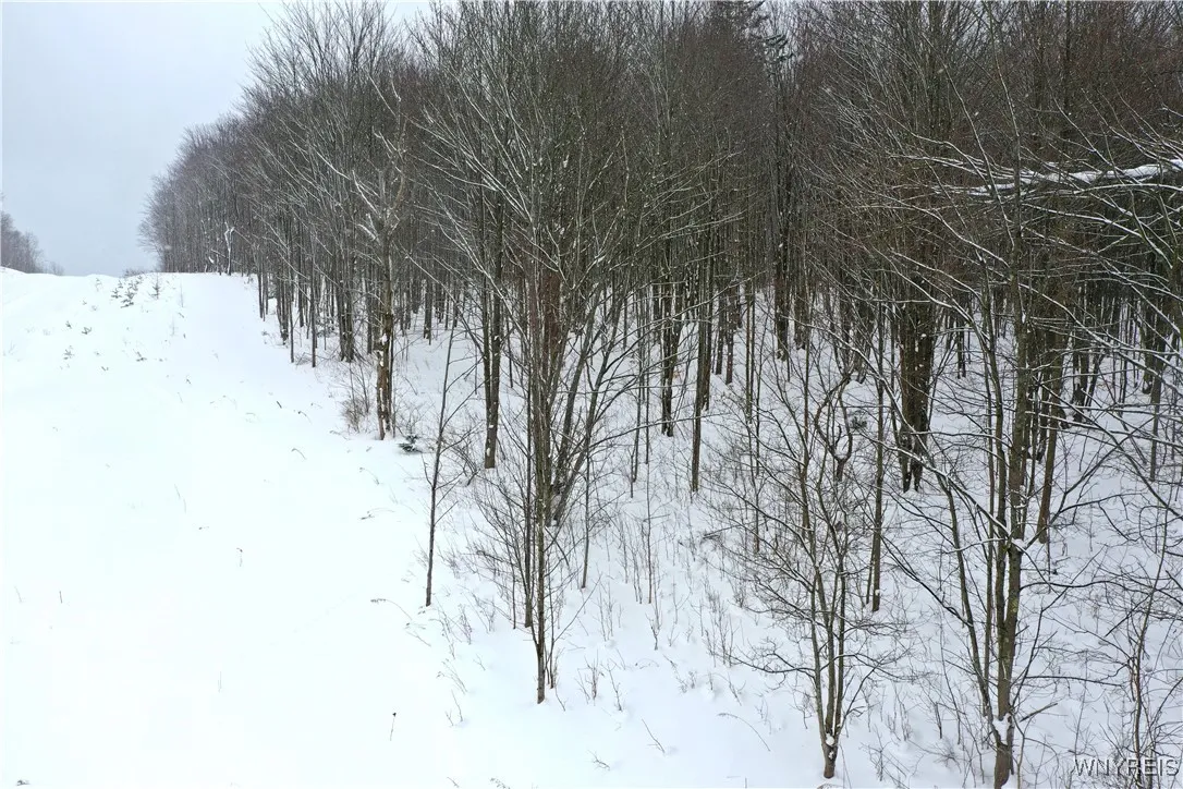 11 Trail Heights, Ellicottville, New York 14731, Ellicottville, New York 14731, ,Land,For Sale,11 Trail Heights, Ellicottville, New York 14731,0,B1584861