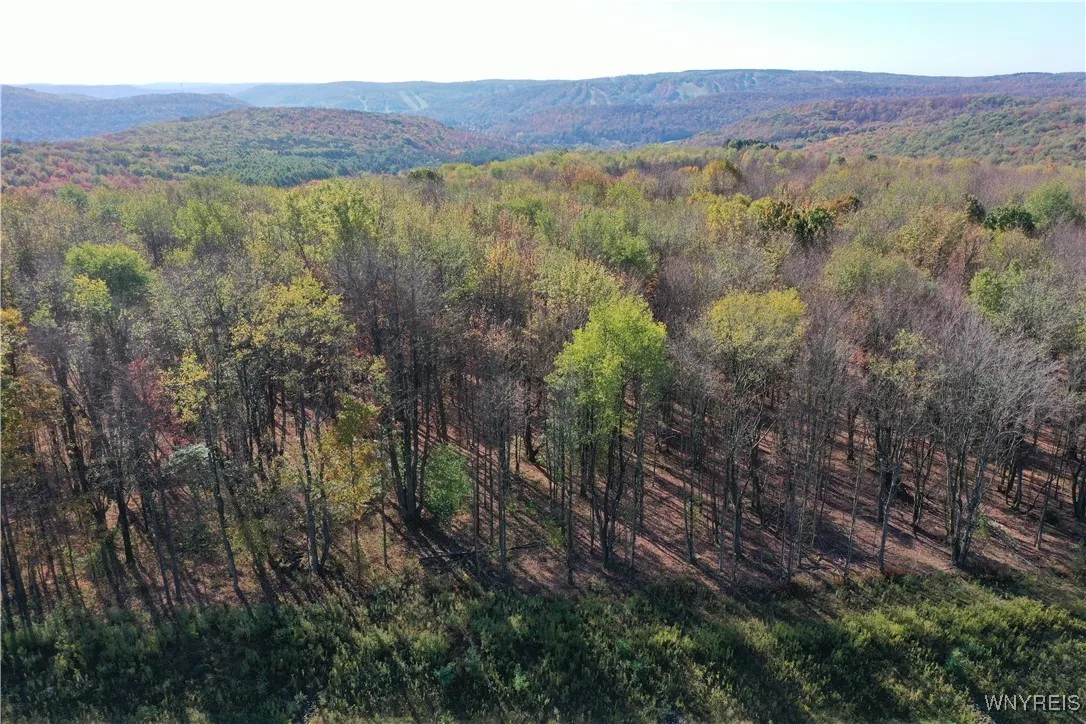 11 Trail Heights, Ellicottville, New York 14731, Ellicottville, New York 14731, ,Land,For Sale,11 Trail Heights, Ellicottville, New York 14731,0,B1584861