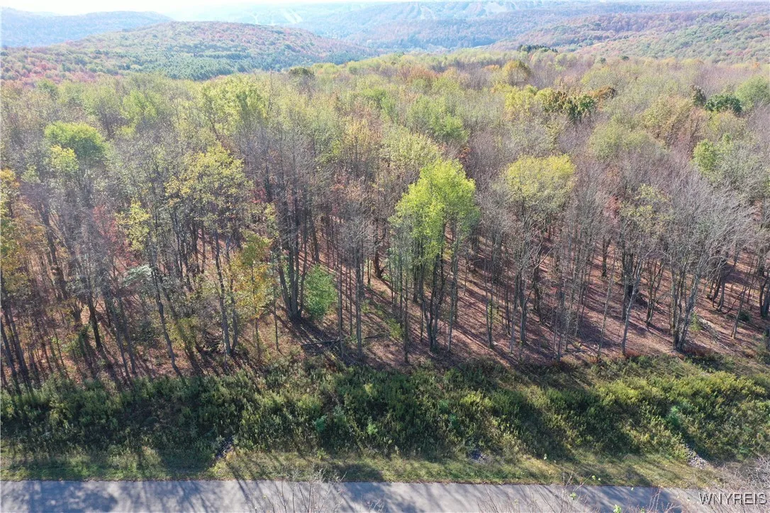 11 Trail Heights, Ellicottville, New York 14731, Ellicottville, New York 14731, ,Land,For Sale,11 Trail Heights, Ellicottville, New York 14731,0,B1584861
