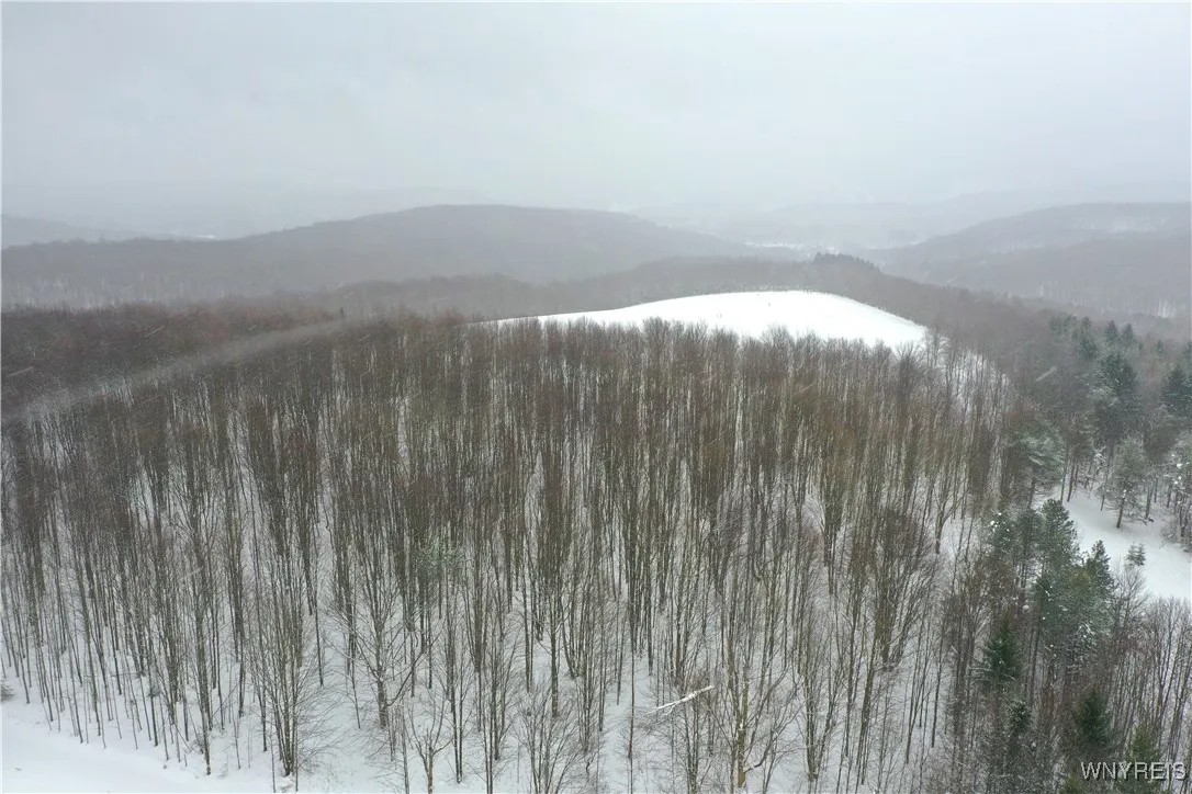 11 Trail Heights, Ellicottville, New York 14731, Ellicottville, New York 14731, ,Land,For Sale,11 Trail Heights, Ellicottville, New York 14731,0,B1584861