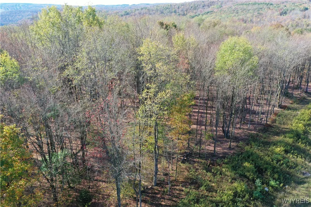 11 Trail Heights, Ellicottville, New York 14731, Ellicottville, New York 14731, ,Land,For Sale,11 Trail Heights, Ellicottville, New York 14731,0,B1584861