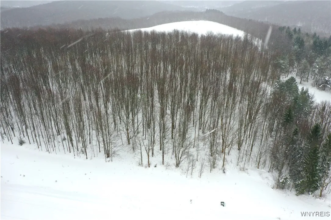 11 Trail Heights, Ellicottville, New York 14731, Ellicottville, New York 14731, ,Land,For Sale,11 Trail Heights, Ellicottville, New York 14731,0,B1584861