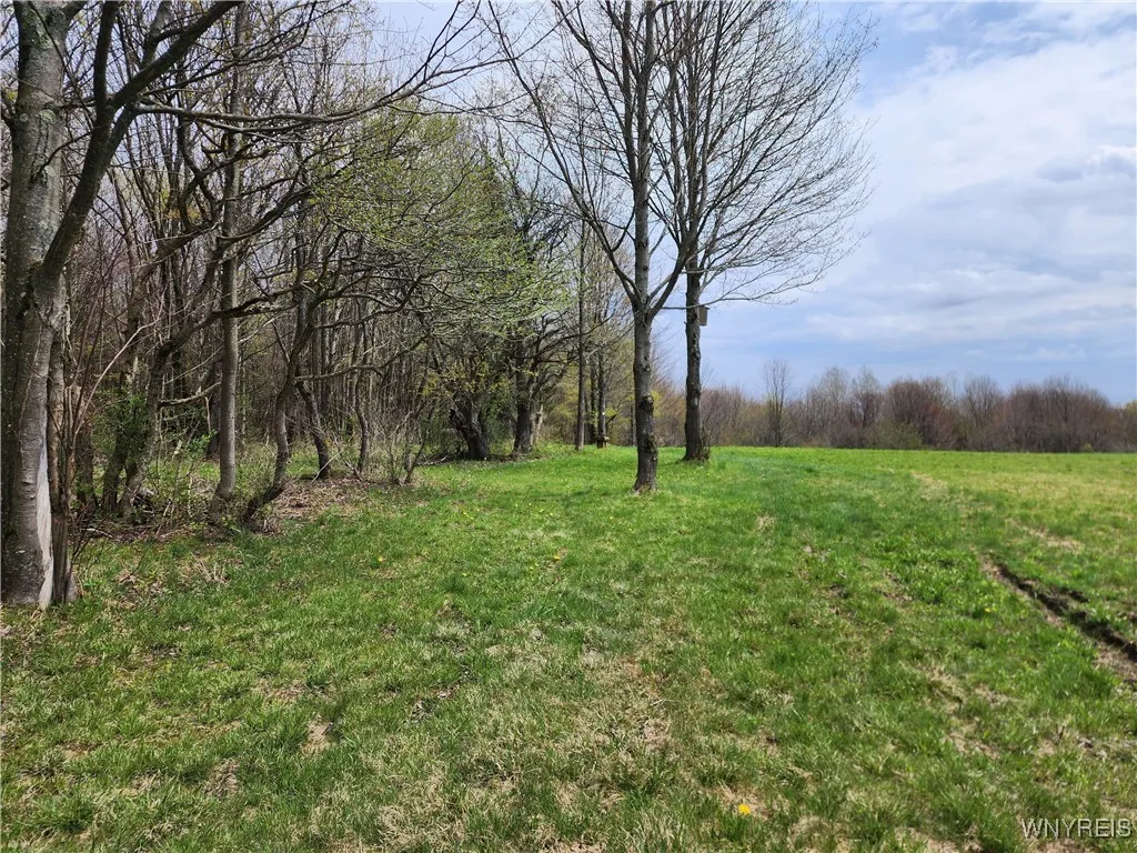 11 Trail Heights, Ellicottville, New York 14731, Ellicottville, New York 14731, ,Land,For Sale,11 Trail Heights, Ellicottville, New York 14731,0,B1584861