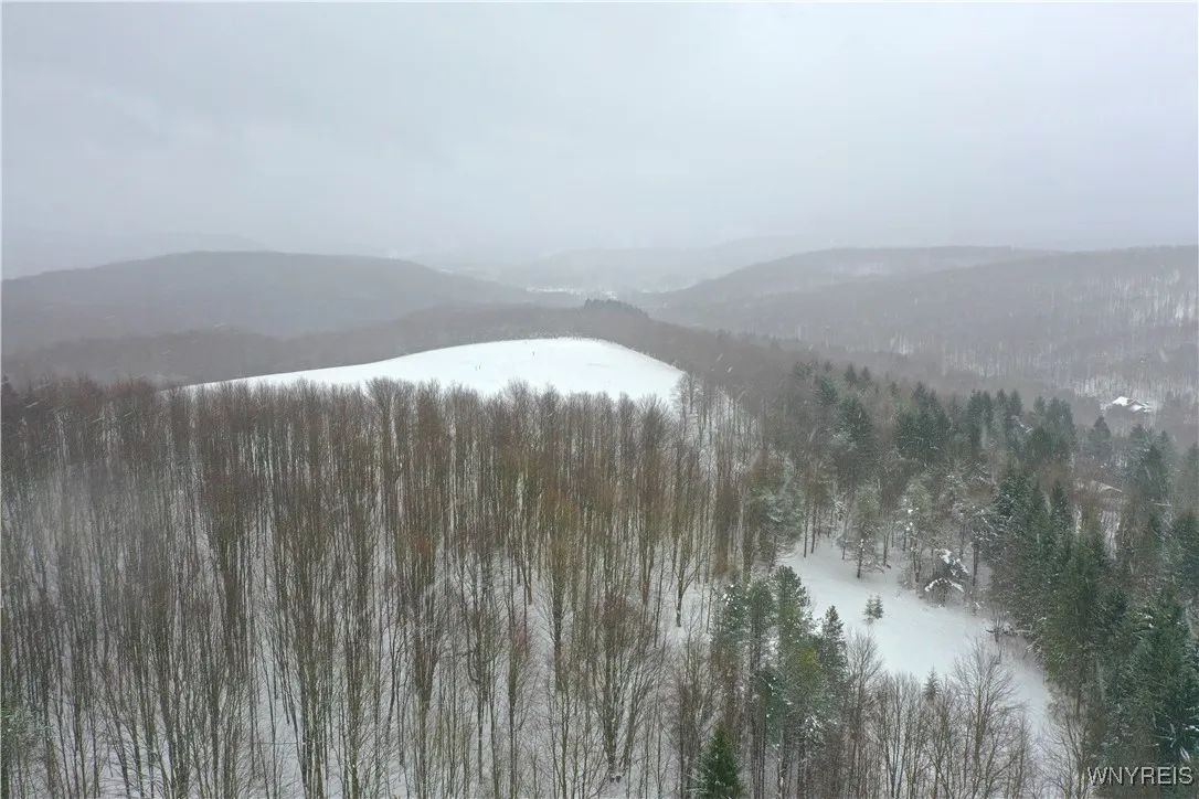 11 Trail Heights, Ellicottville, New York 14731, Ellicottville, New York 14731, ,Land,For Sale,11 Trail Heights, Ellicottville, New York 14731,0,B1584861