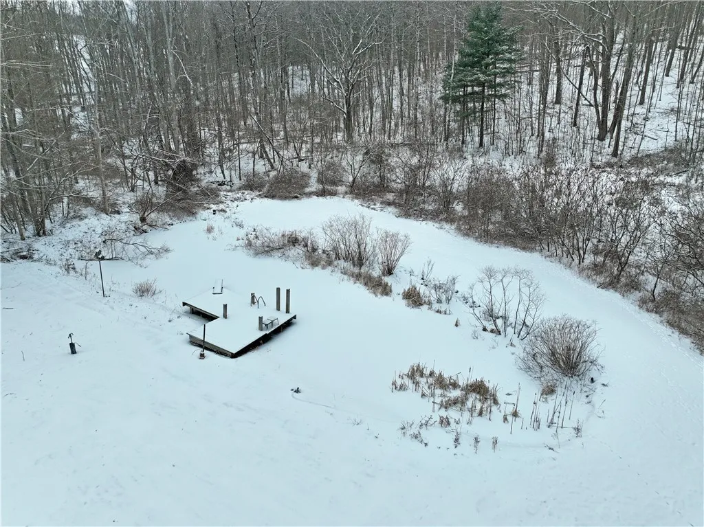 Small pond on the SE corner of property