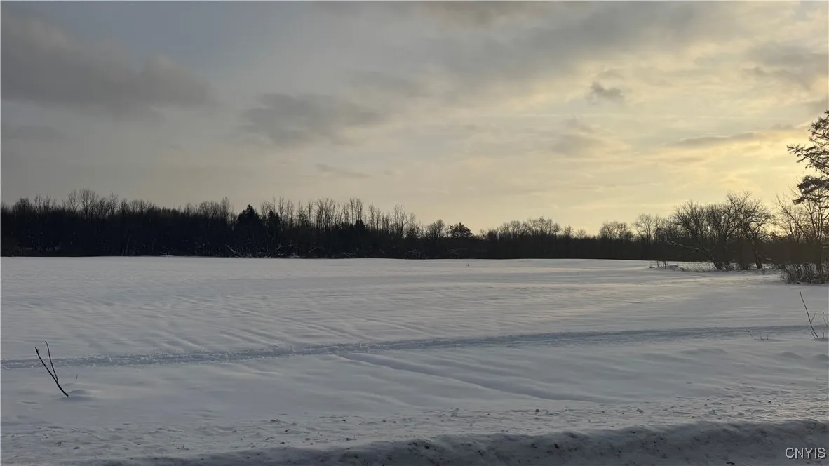 Hoag Road, Rome-outside, New York 13440, Rome, New York 13440, ,Land,Closed,Hoag Road, Rome-outside, New York 13440,0,S1585223