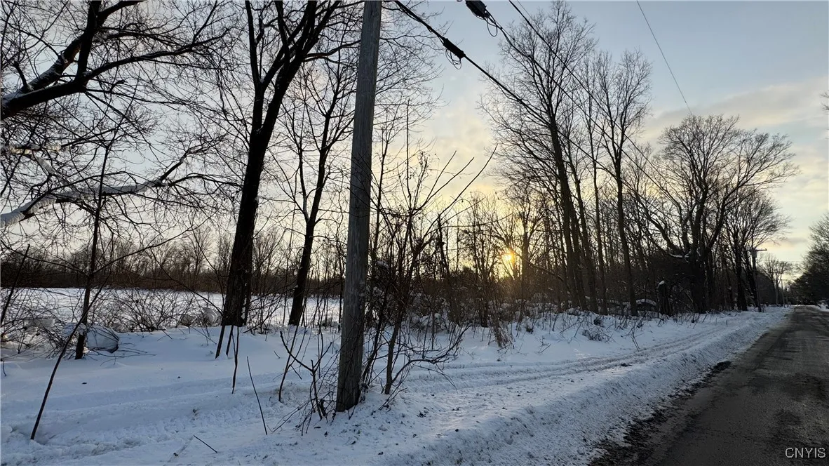 Hoag Road, Rome-outside, New York 13440, Rome, New York 13440, ,Land,Closed,Hoag Road, Rome-outside, New York 13440,0,S1585223