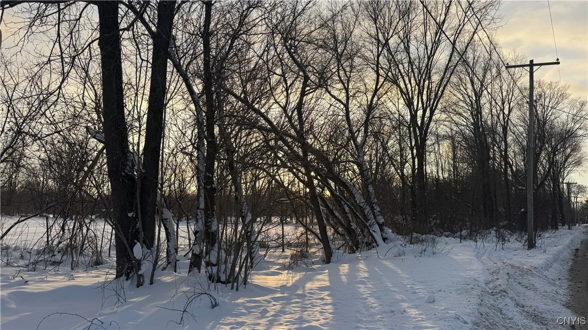 Hoag Road, Rome-outside, New York 13440, Rome, New York 13440, ,Land,Closed,Hoag Road, Rome-outside, New York 13440,0,S1585223