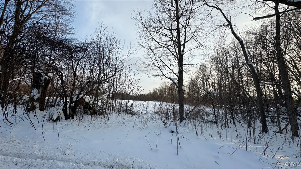 Hoag Road, Rome-outside, New York 13440, Rome, New York 13440, ,Land,Closed,Hoag Road, Rome-outside, New York 13440,0,S1585223