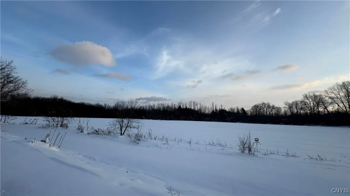 Hoag Road, Rome-outside, New York 13440, Rome, New York 13440, ,Land,Closed,Hoag Road, Rome-outside, New York 13440,0,S1585223