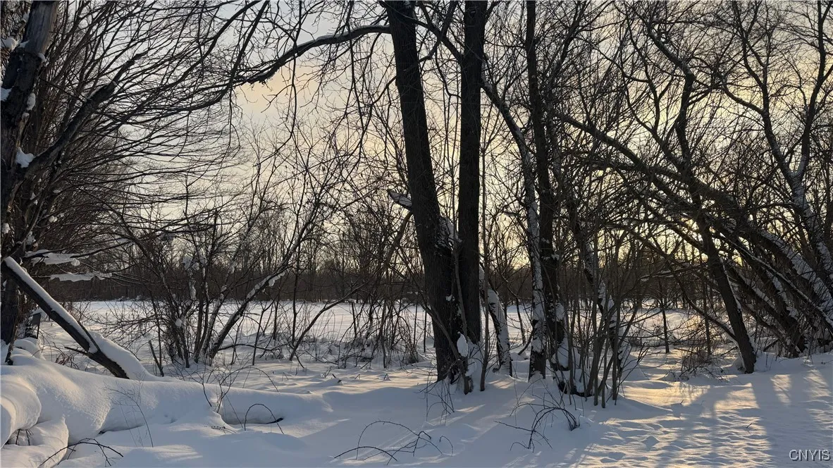 Hoag Road, Rome-outside, New York 13440, Rome, New York 13440, ,Land,Closed,Hoag Road, Rome-outside, New York 13440,0,S1585223