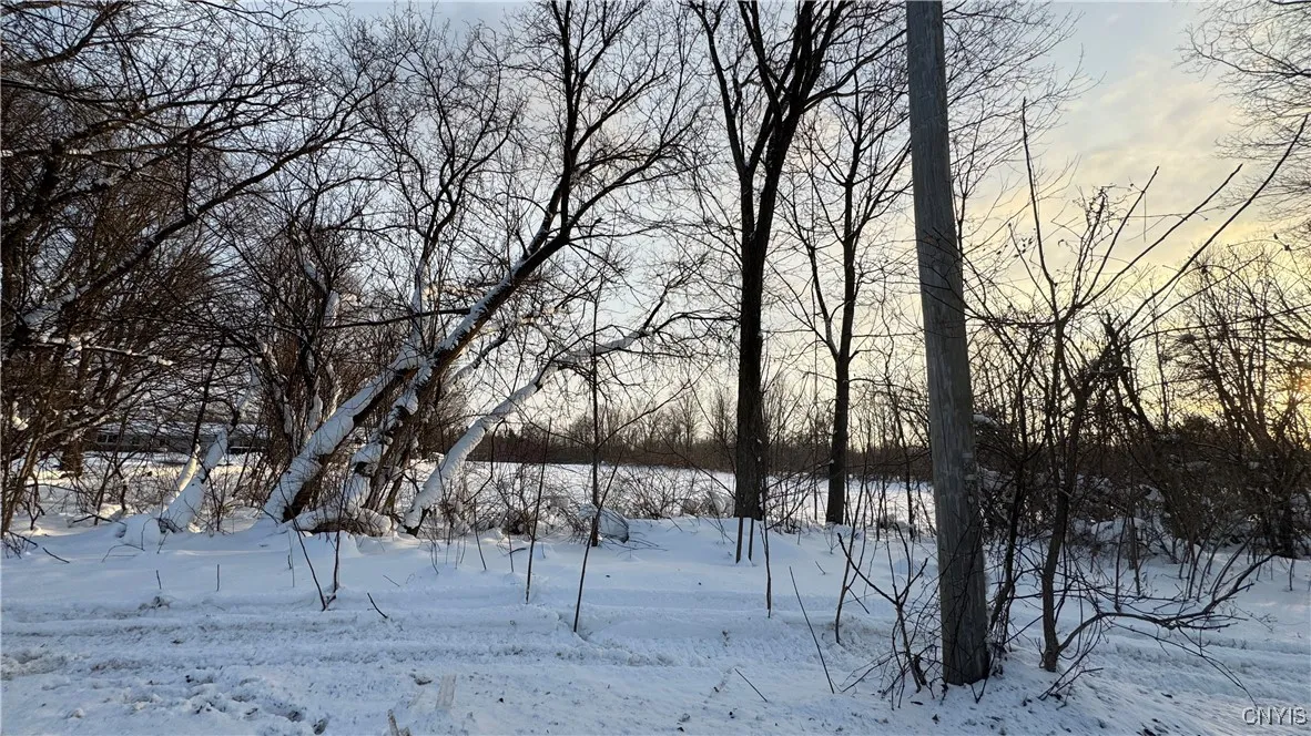Hoag Road, Rome-outside, New York 13440, Rome, New York 13440, ,Land,Closed,Hoag Road, Rome-outside, New York 13440,0,S1585223