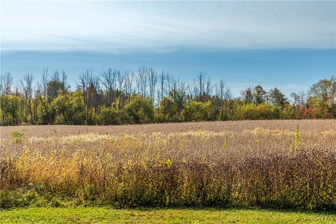 Hoag Road, Rome-outside, New York 13440, Rome, New York 13440, ,Land,Closed,Hoag Road, Rome-outside, New York 13440,0,S1585223