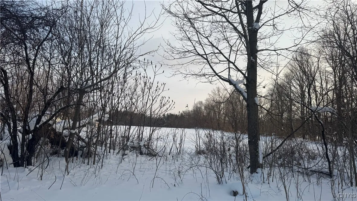 Hoag Road, Rome-outside, New York 13440, Rome, New York 13440, ,Land,Closed,Hoag Road, Rome-outside, New York 13440,0,S1585223