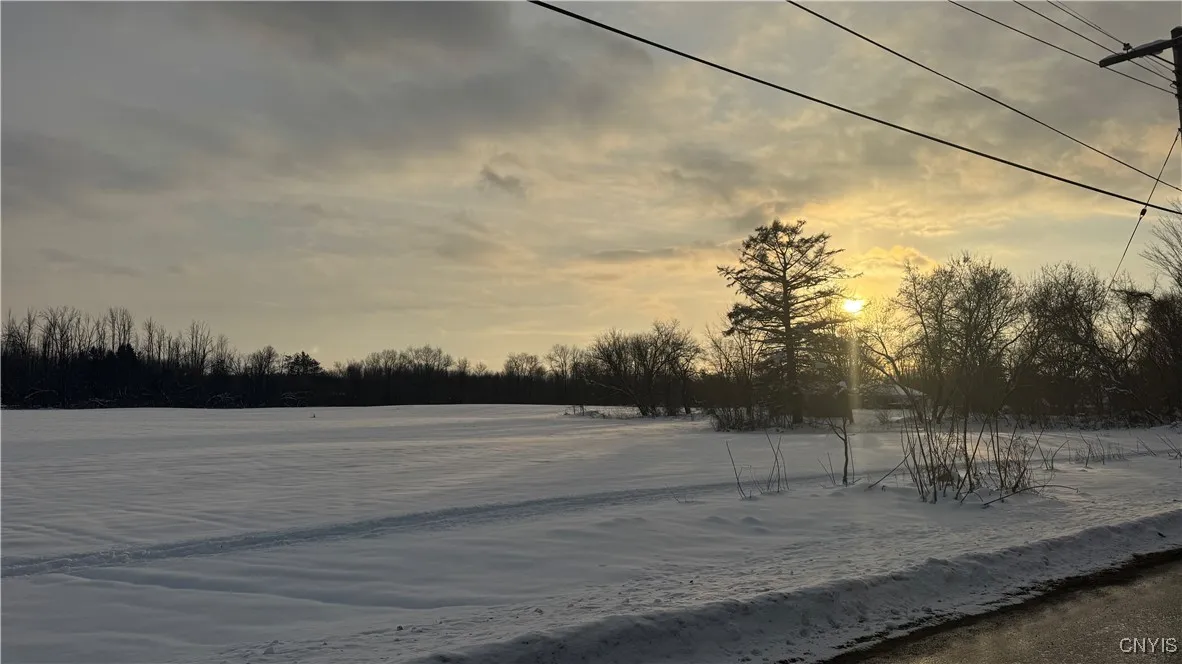 Hoag Road, Rome-outside, New York 13440, Rome, New York 13440, ,Land,Closed,Hoag Road, Rome-outside, New York 13440,0,S1585223