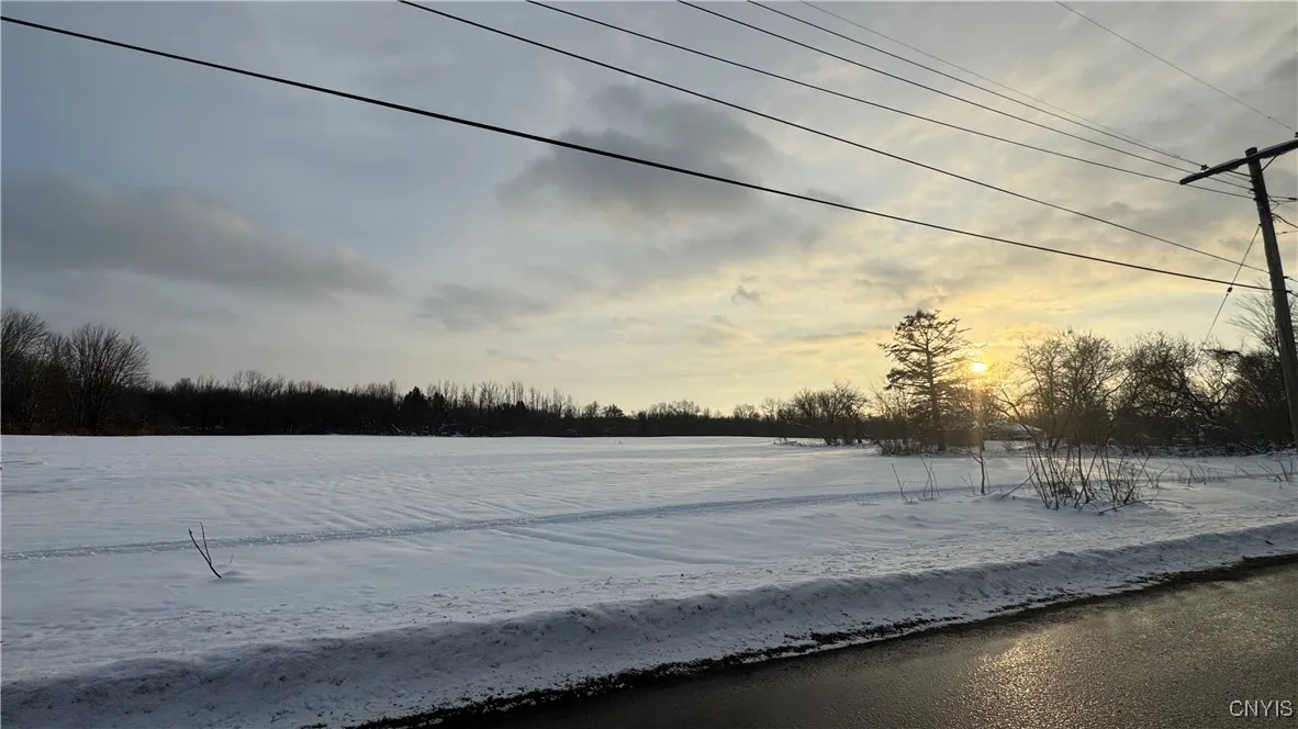 Hoag Road, Rome-outside, New York 13440, Rome, New York 13440, ,Land,Closed,Hoag Road, Rome-outside, New York 13440,0,S1585223
