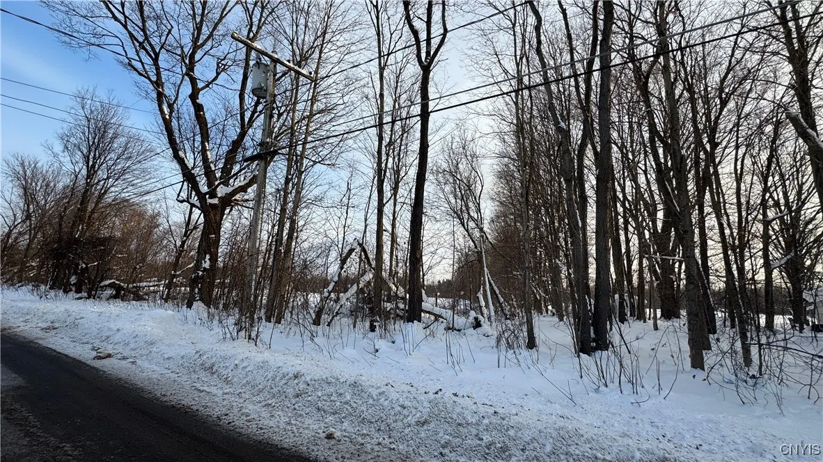 Hoag Road, Rome-outside, New York 13440, Rome, New York 13440, ,Land,Closed,Hoag Road, Rome-outside, New York 13440,0,S1585223