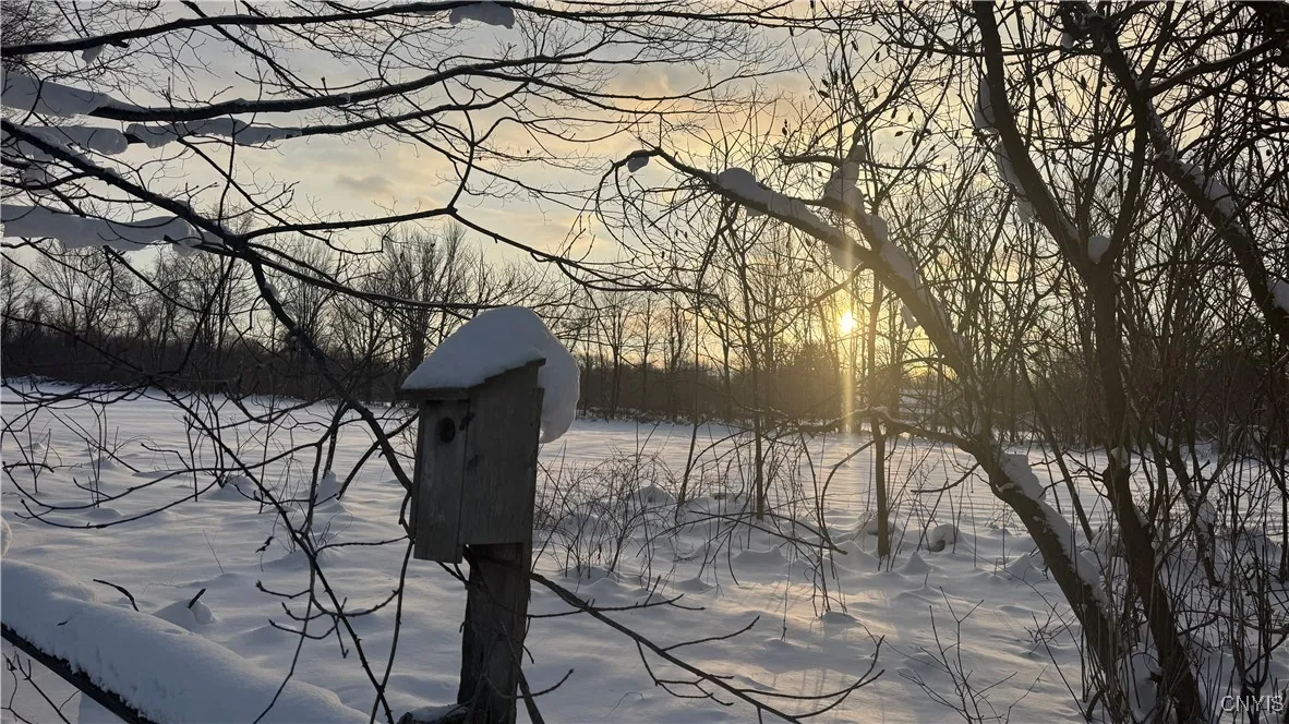 Hoag Road, Rome-outside, New York 13440, Rome, New York 13440, ,Land,Closed,Hoag Road, Rome-outside, New York 13440,0,S1585223