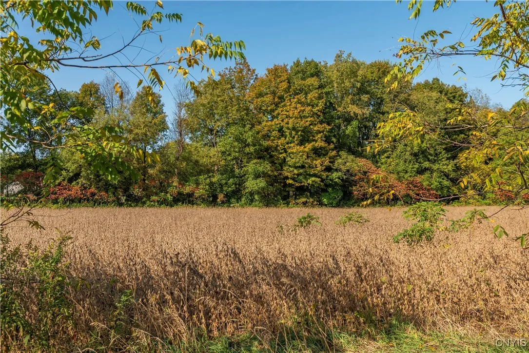 Hoag Road, Rome-outside, New York 13440, Rome, New York 13440, ,Land,Closed,Hoag Road, Rome-outside, New York 13440,0,S1585223