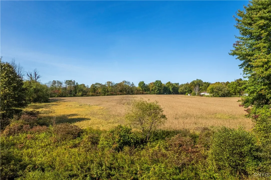Hoag Road, Rome-outside, New York 13440, Rome, New York 13440, ,Land,Closed,Hoag Road, Rome-outside, New York 13440,0,S1585223