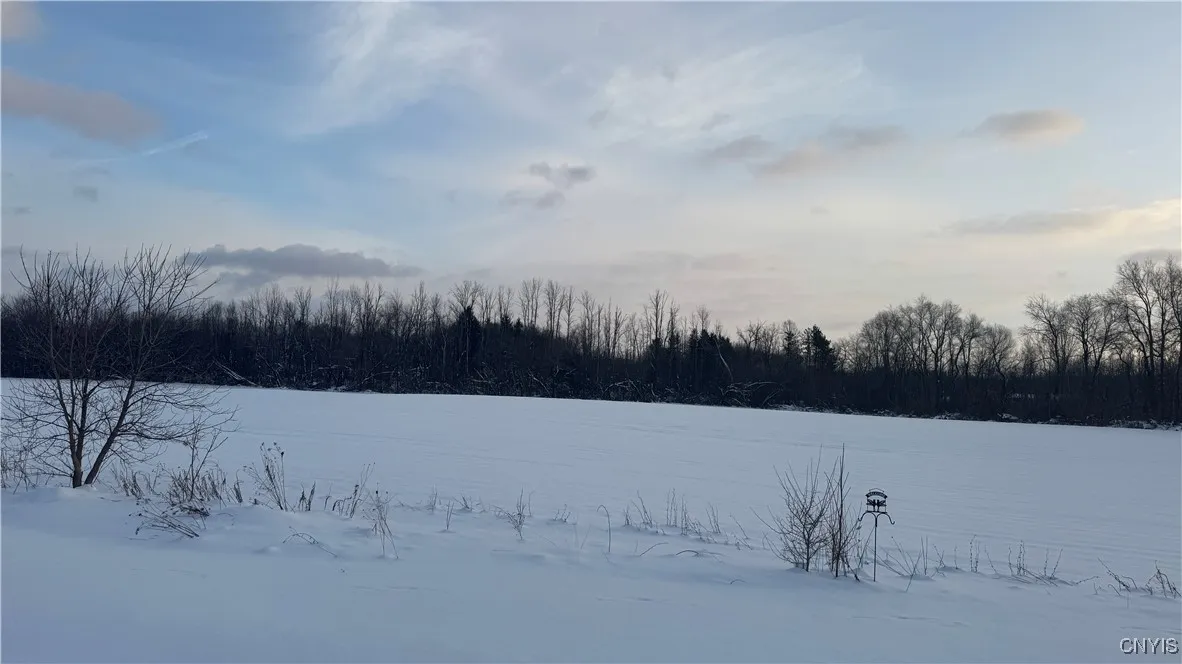 Hoag Road, Rome-outside, New York 13440, Rome, New York 13440, ,Land,Closed,Hoag Road, Rome-outside, New York 13440,0,S1585223