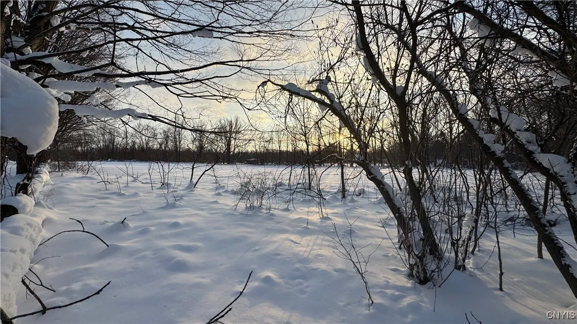 Hoag Road, Rome-outside, New York 13440, Rome, New York 13440, ,Land,Closed,Hoag Road, Rome-outside, New York 13440,0,S1585223