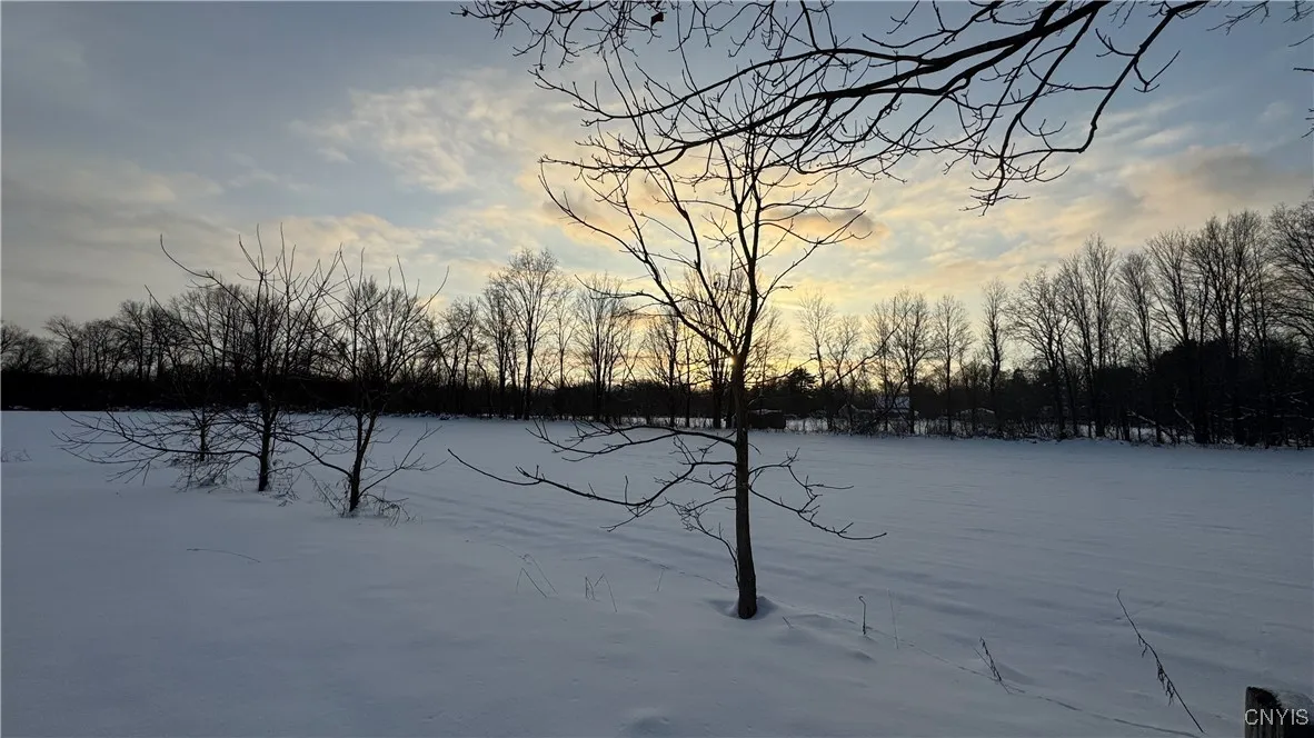 Hoag Road, Rome-outside, New York 13440, Rome, New York 13440, ,Land,Closed,Hoag Road, Rome-outside, New York 13440,0,S1585223
