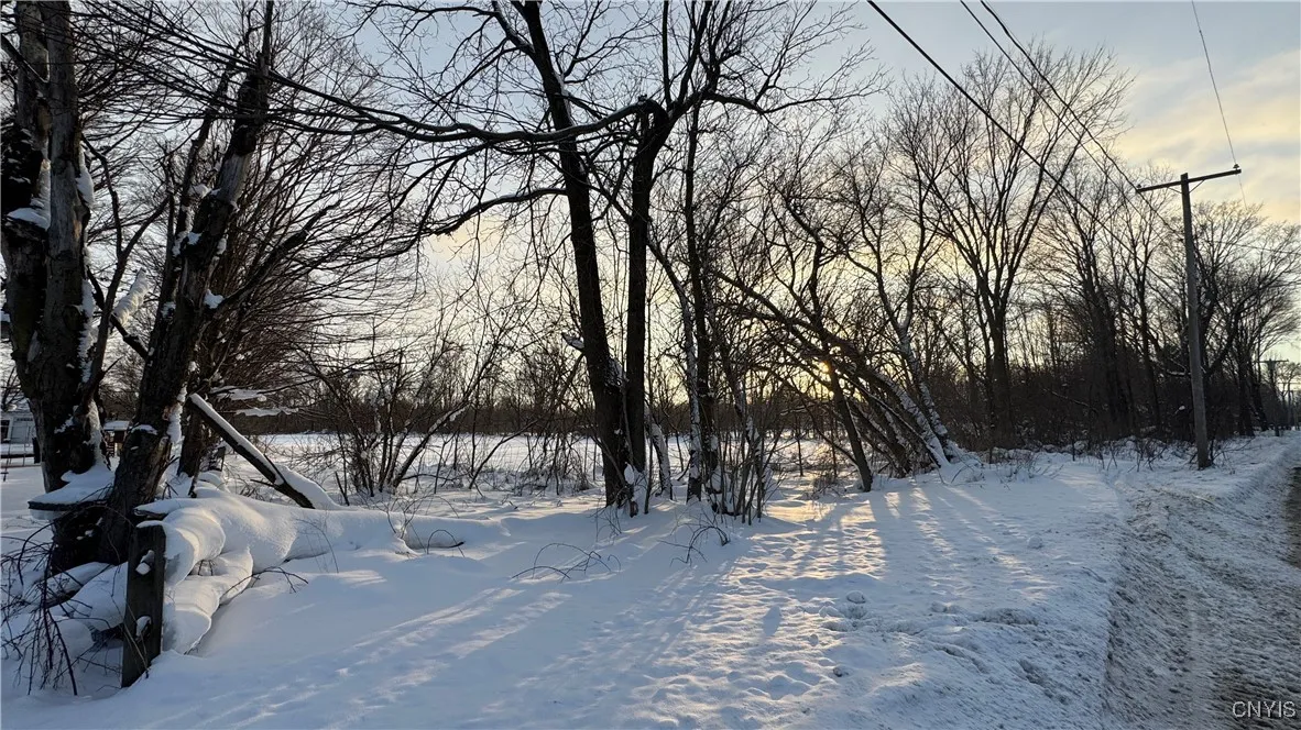 Hoag Road, Rome-outside, New York 13440, Rome, New York 13440, ,Land,Closed,Hoag Road, Rome-outside, New York 13440,0,S1585223